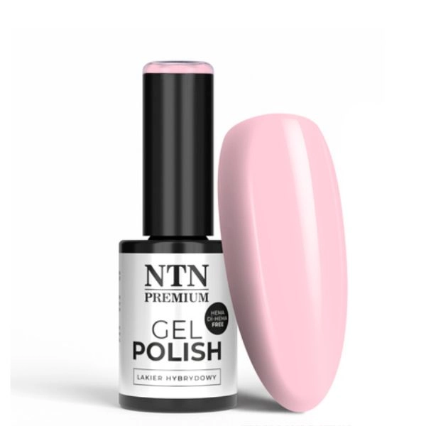 NTN Premium Hybridní lak - Delight Sorbet Collection č. 148, 5g
