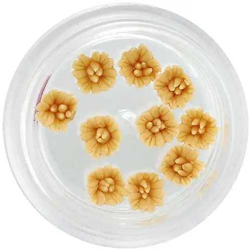 Akrylové kytičky - hořčicově žluté