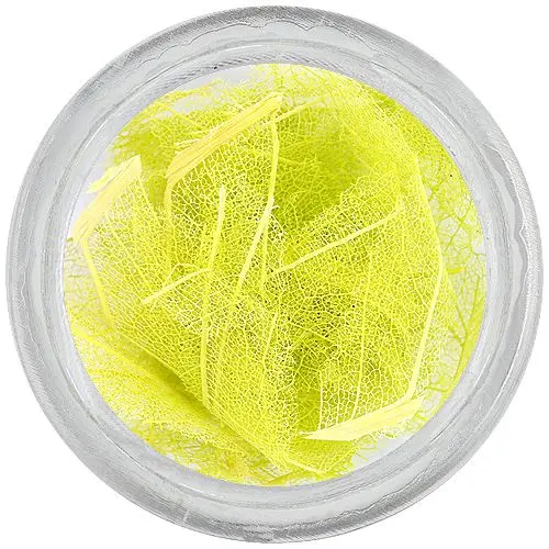 Světle zelené sušené listy