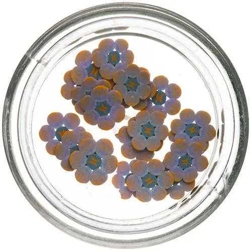 Nařezané květy – Fimo Nail Art 